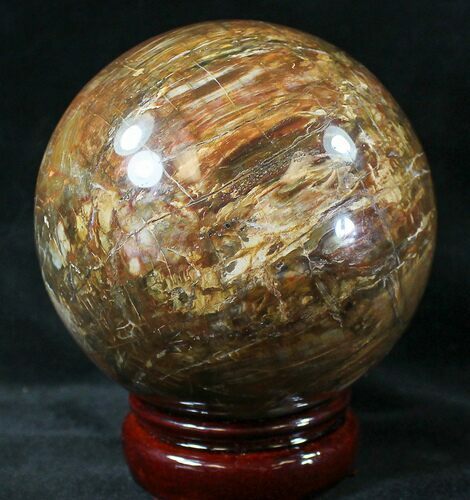 Colorful Petrified Wood Sphere #20635